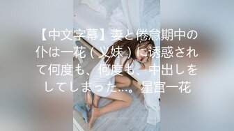 【中文字幕】妻と倦怠期中の仆は一花（义妹）に诱惑されて何度も、何度も、中出しをしてしまった…。星宫一花