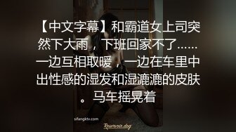 【中文字幕】和霸道女上司突然下大雨，下班回家不了……一边互相取暖，一边在车里中出性感的湿发和湿漉漉的皮肤。马车摇晃着