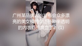 广州某品牌内衣发布会众多漂亮的美女模特穿上各种半透明的内衣要流鼻血了2  (1)