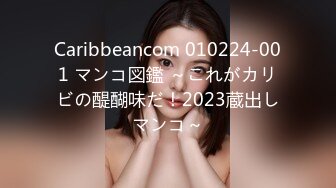 Caribbeancom 010224-001 マンコ図鑑 ～これがカリビの醍醐味だ！2023蔵出しマンコ～