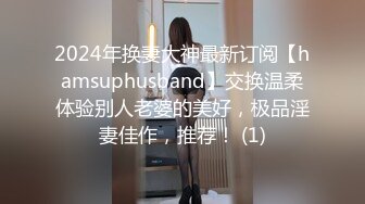 2024年换妻大神最新订阅【hamsuphusband】交换温柔体验别人老婆的美好，极品淫妻佳作，推荐！ (1)