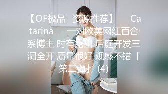 【OF极品✨资源推荐】❤️Catarina❤️一对欧美网红百合系博主 时有露出 后庭开发三洞全开 质量很好 观感不错「第二彈」 (4)