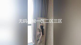 无码av秘一区二区三区