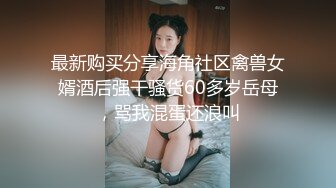 探花系列-高价约的大奶子性感美女