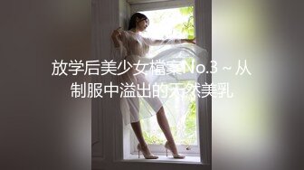 放学后美少女檔案No.3～从制服中溢出的天然美乳