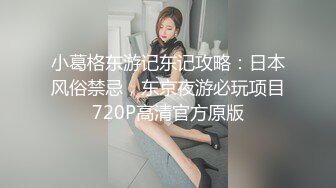 小葛格东游记东记攻略：日本风俗禁忌，东京夜游必玩项目720P高清官方原版