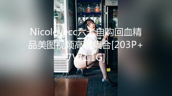 Nicolovecc六七自购回血精品美图视频高端集合[203P+7V/1.1G]