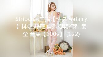 Stripchat主播【林夕 Aafairy】抖奶 热舞 自慰视频福利 最全 合集【100v】 (122)