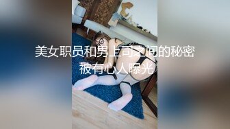 美女职员和男上司之间的秘密 被有心人曝光