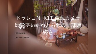 ドラレコNTR11 車載カメラは見ていたねとられの一部始終を