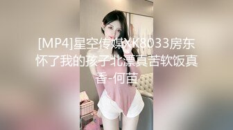 [MP4]星空传媒XK8033房东怀了我的孩子北漂真苦软饭真香-何苗