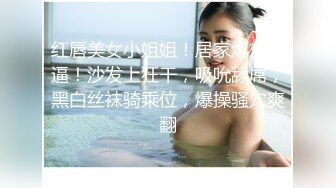 红唇美女小姐姐！居家炮友操逼！沙发上狂干，吸吮舔屌，黑白丝袜骑乘位，爆操骚穴爽翻