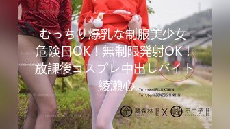 むっちり爆乳な制服美少女 危険日OK！無制限発射OK！放課後コスプレ中出しバイト 綾瀨心