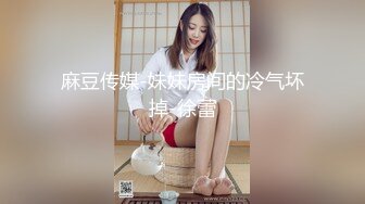 麻豆传媒-妹妹房间的冷气坏掉-徐蕾