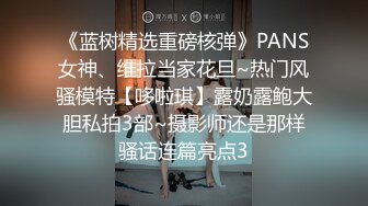 《蓝树精选重磅核弹》PANS女神、维拉当家花旦~热门风骚模特【哆啦琪】露奶露鲍大胆私拍3部~摄影师还是那样骚话连篇亮点3