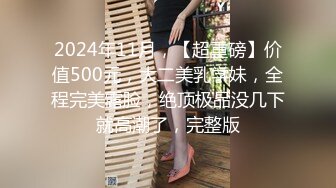 2024年11月，【超重磅】价值500元，大二美乳学妹，全程完美露脸，绝顶极品没几下就高潮了，完整版