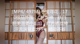 [MP4/ 497M] 小宝寻花，170极品外围，C杯女神，肤白貌美温柔小姐姐，红内裤战神汗流浃背卖力干，精彩不断