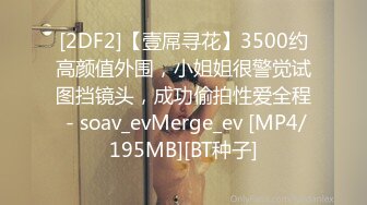 [2DF2]【壹屌寻花】3500约高颜值外围，小姐姐很警觉试图挡镜头，成功偷拍性爱全程 - soav_evMerge_ev [MP4/195MB][BT种子]