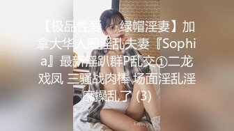 【极品性爱❤️绿帽淫妻】加拿大华人圈淫乱夫妻『Sophia』最新淫趴群P乱交①二龙戏凤 三骚战肉棒 场面淫乱淫靡操乱了 (3)