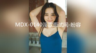 MDX-0140淫欲面试间-盼容