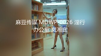 麻豆传媒 MDWP-0026 淫行办公室 岚湘庭