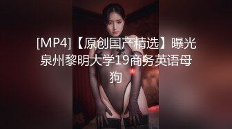 91大閘蟹最新豪華精品巨製第四部-番號S01E04：翻版“小Angelababy”和翻版“陳慧琳”絲襪雙飛完整版